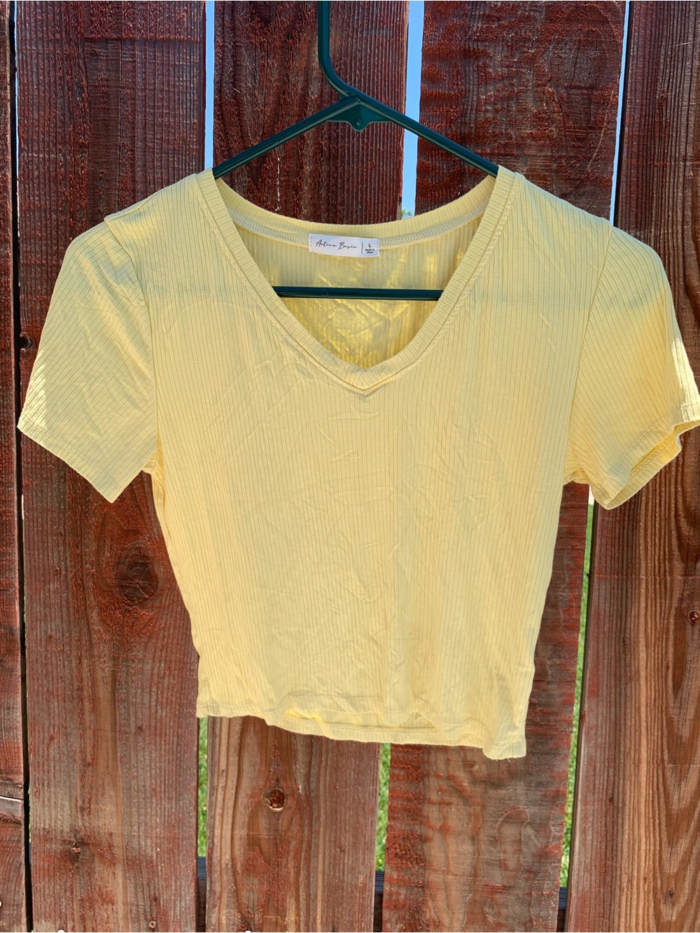 Active Basic Pale Yellow Ribbed V-Neck Crop Top